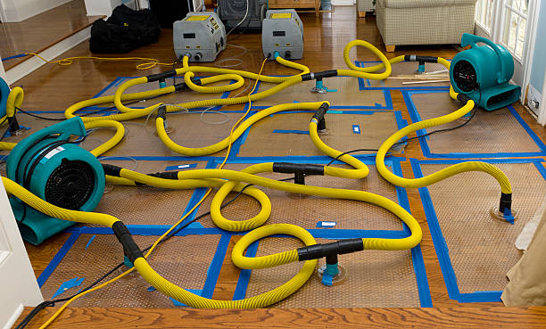 Professional Crawl Space Water Removal technician working in Wilton, IA